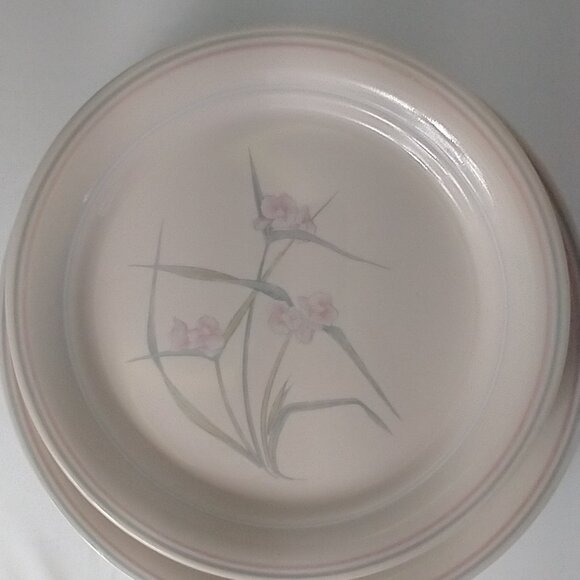 Vintage (5) Dinner & (6) Salad Plates by Corelle Corning Spring Pond Dinnerware - Picture 10 of 11